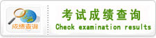 考试成绩查询